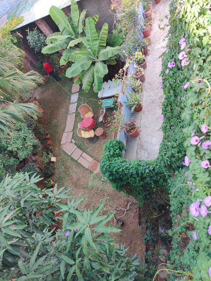 Bristows Haveli Homestay Jodhpur  Luaran gambar